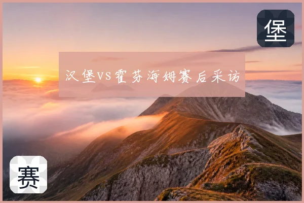 汉堡vs霍芬海姆赛后采访
